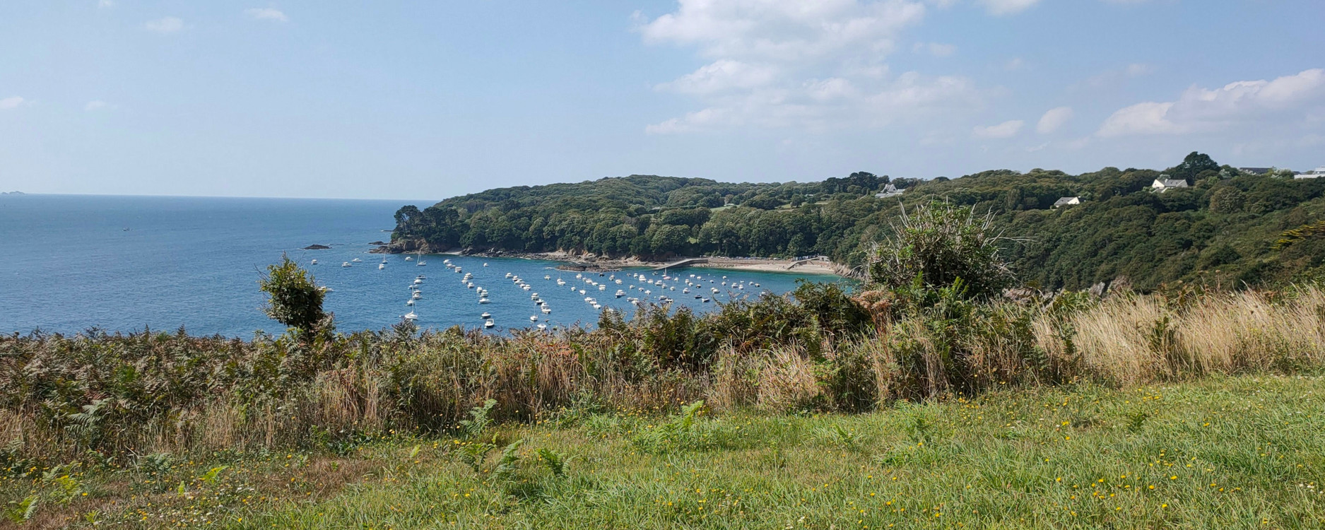 Brest scene
