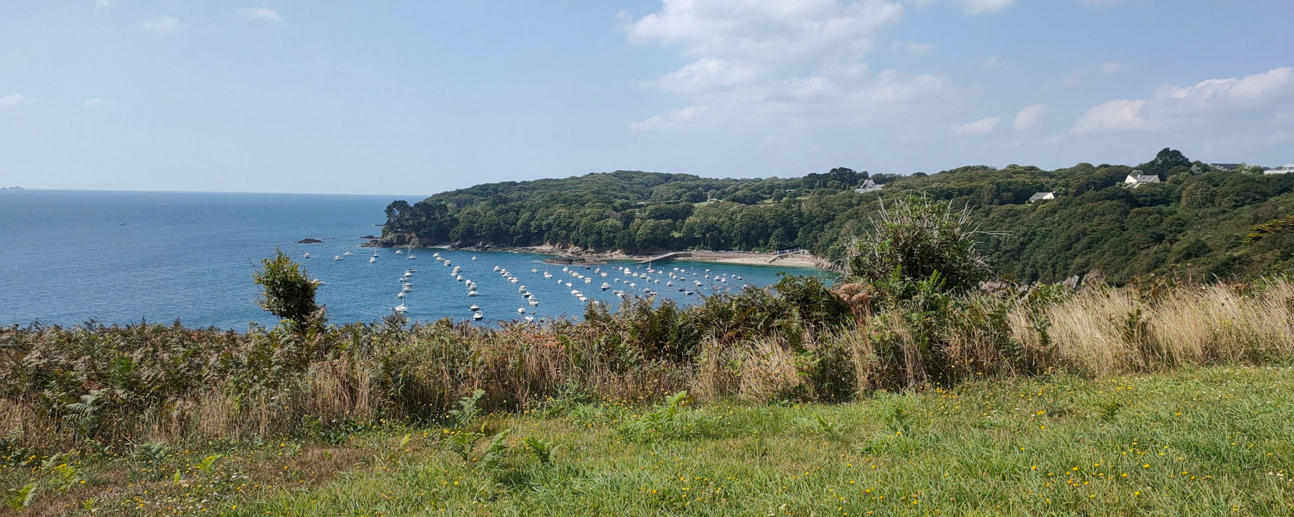 Brest scene